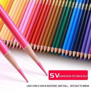 עפרונות עץ באיכות גבוה עם עד 200 גוונים וצבעי מים + מתנה ספר צביעה