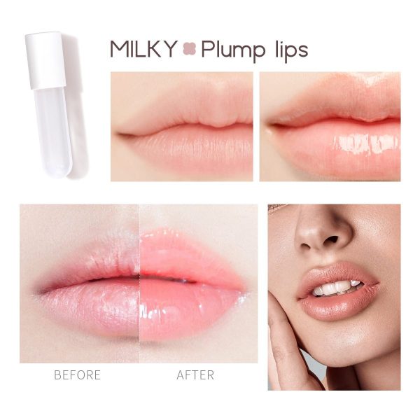 2pcs/set Day Night, Lips Enhancer Serum Plumper, Gloss Moisturizing Nourishing Sexy Plump Lip
