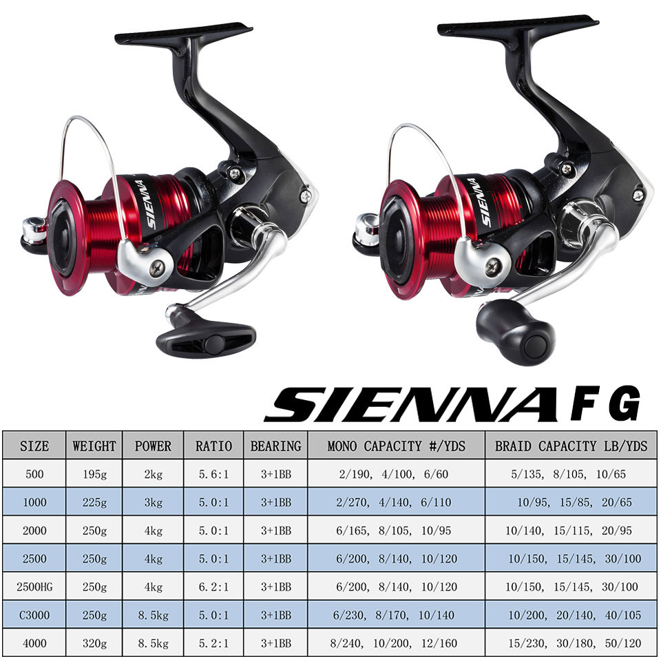 SHIMANO SIENNA – רולר איכותי סיאנה של חברת שימנו העולמית בגדלים מ 500 ועד 4000