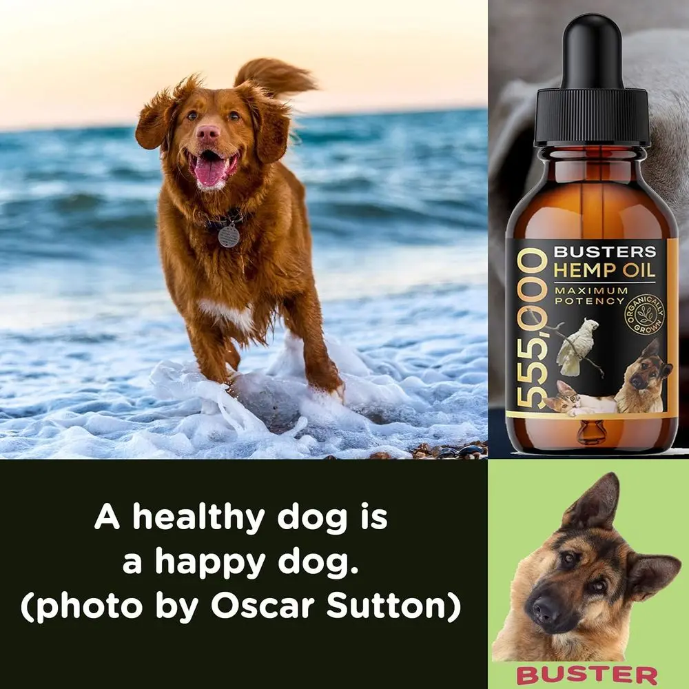 Buster's Organic Hemp Oil or Dogs and Pets, 4PACK-8MTH-supply, Large 60ml Bottle, Made in USA - Miracle ormula, Perectly Balance