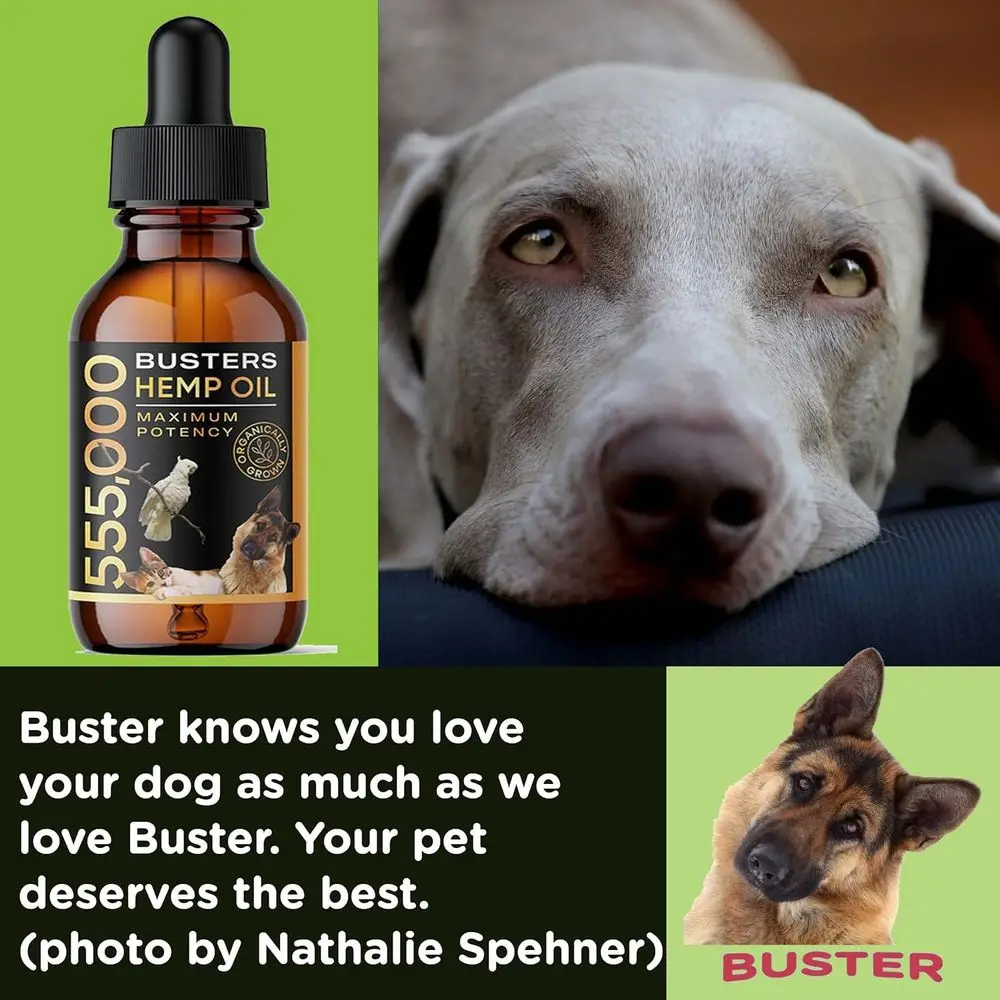 Buster's Organic Hemp Oil or Dogs and Pets, 4PACK-8MTH-supply, Large 60ml Bottle, Made in USA - Miracle ormula, Perectly Balance