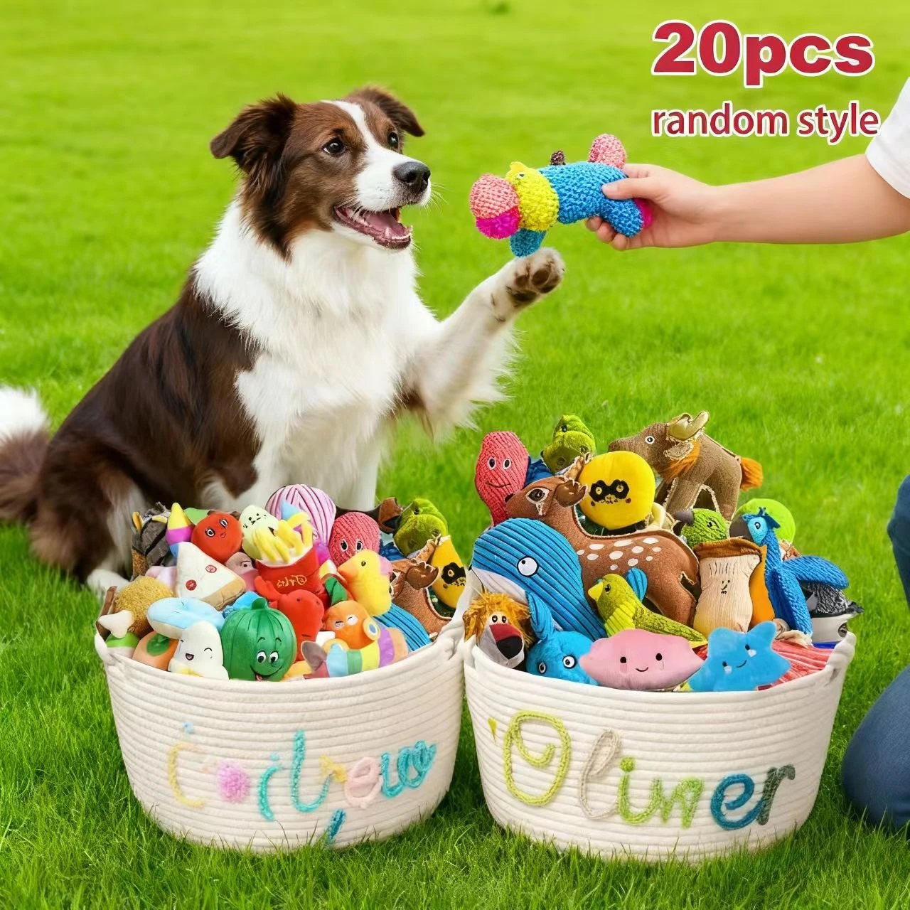 קופסת צעצועים לכלבים - 20 יחידות