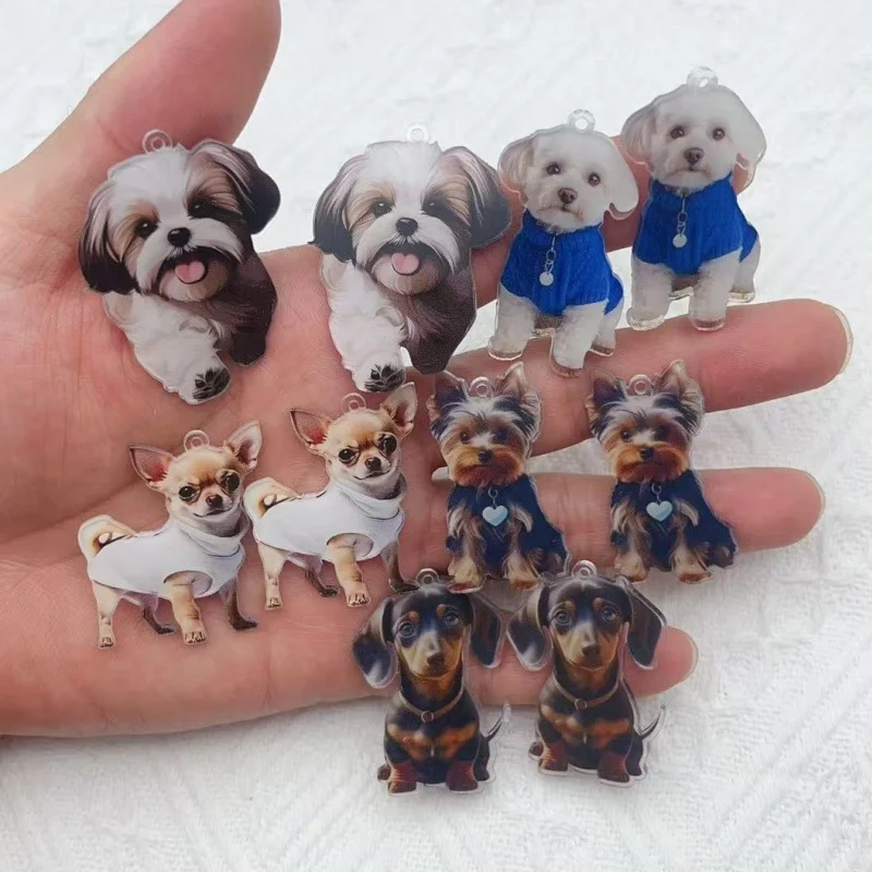 תליוני כלבים מצוירים מע resin