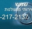 52153187 773705012987598 7950362069830729728 n