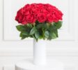 valentine s day red roses bouquet ode a la rose x
