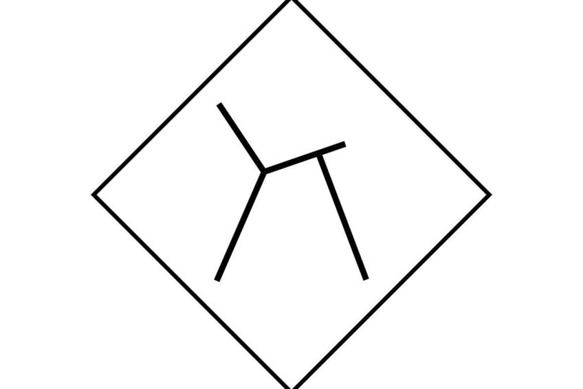 Skinnyz logo white