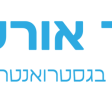 לוגו אורלי ליאור