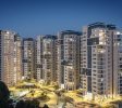 TLV